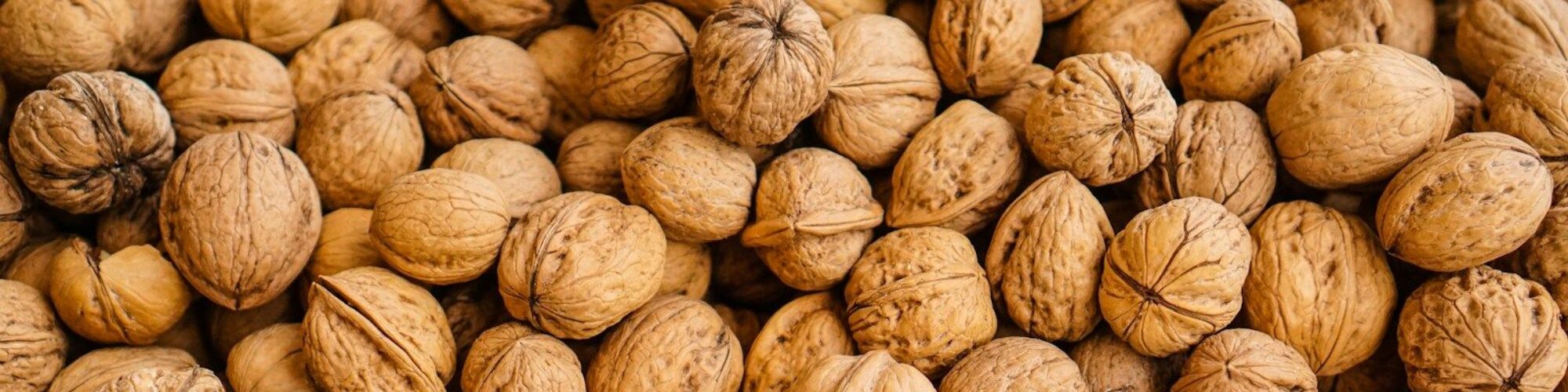 closeup photography of walnuts